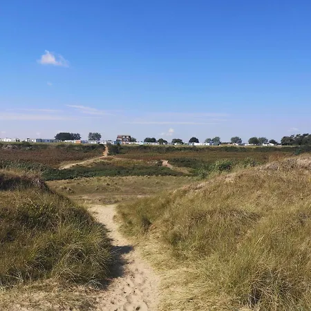 Sea View Holiday Chalet, Access To Sandy Beach - Pets Go Free Winterton-on-Sea Exterior photo