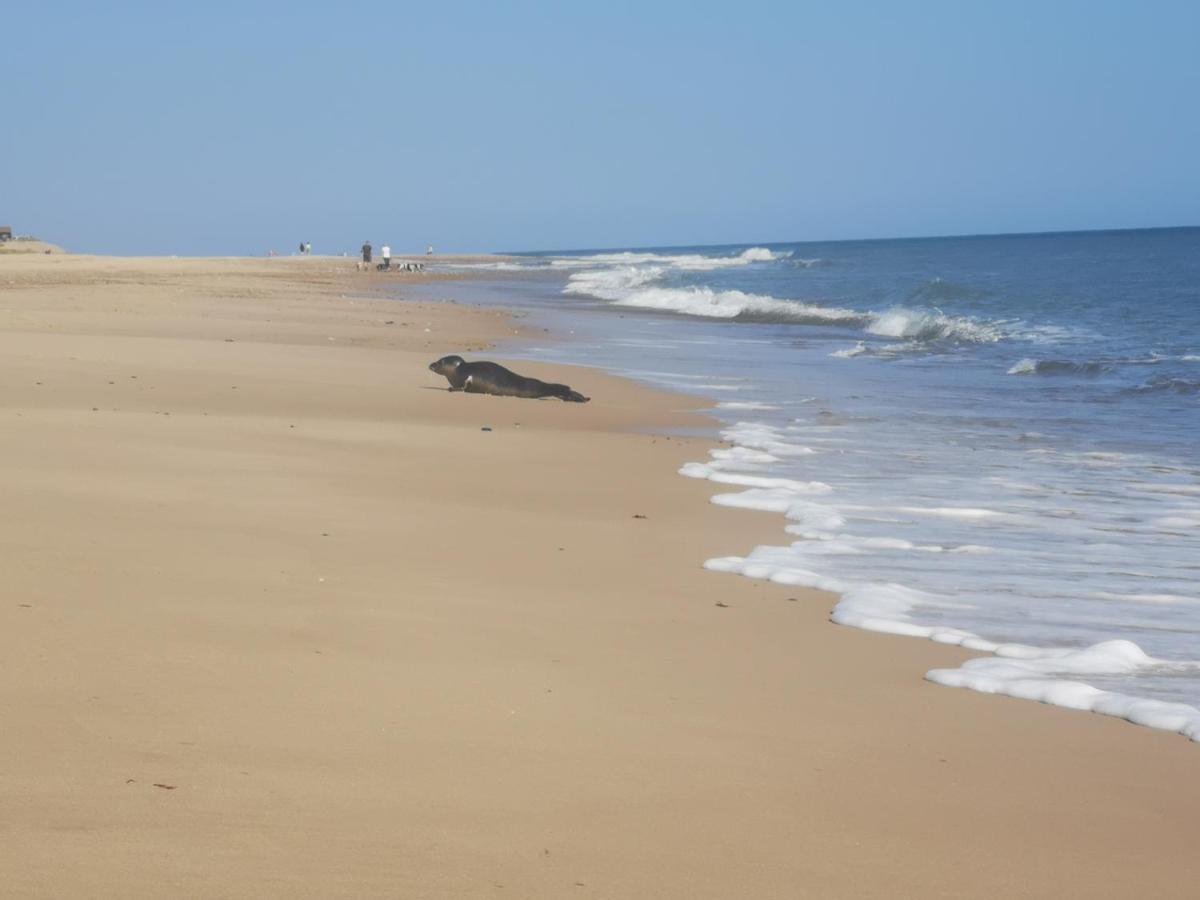 Sea View Chalet, Access To Sandy - Pets Go Free * Winterton-on-Sea